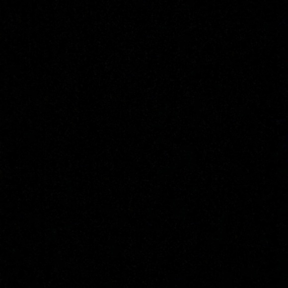 Meet your Posher, Whitney - Picture 1 of 1